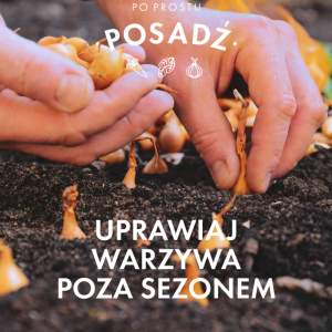 Uprawiaj warzywa poza sezonem - ebook