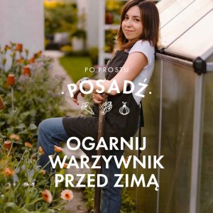 Ogarnij warzywnik przed zimą - ebook