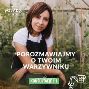 Konsultacje 1:1 Porozmawiajmy o Twoim warzywniku