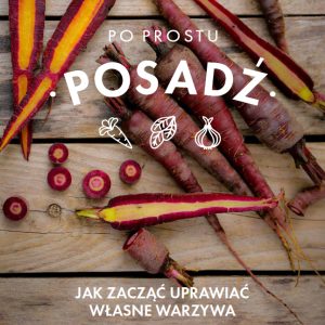 Jak zacząć uprawiać własne warzywa - ebook